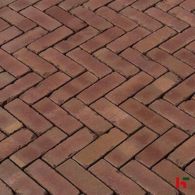 SierbeStrating in Emmen